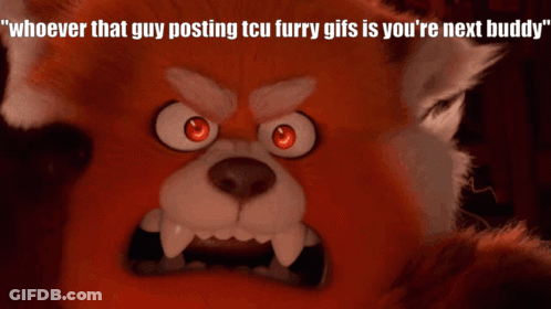 A Cartoon Of An Angry Bear With The Caption " Whoever That Guy Posting Tcu Furry Gifs Is You 'Re Next Buddy GIF