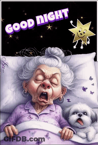 A Cartoon Of An Elderly Woman Sleeping Next To A Small White Dog With The Words Good Night Written Above Her GIF