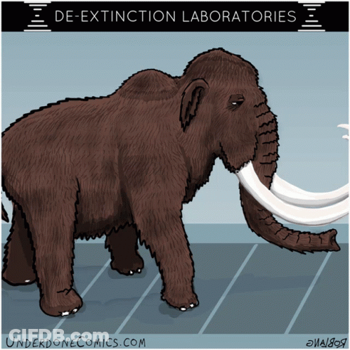 A Cartoon Of An Elephant With The Words De-Extinction Laboratories On The Bottom GIF