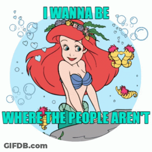 A Cartoon Of Ariel From The Little Mermaid Says " I Wanna Be Where The People Aren ' " GIF