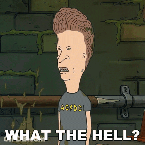 A Cartoon Of Beavis From Beavis And Butthead Says " What The Hell " GIF