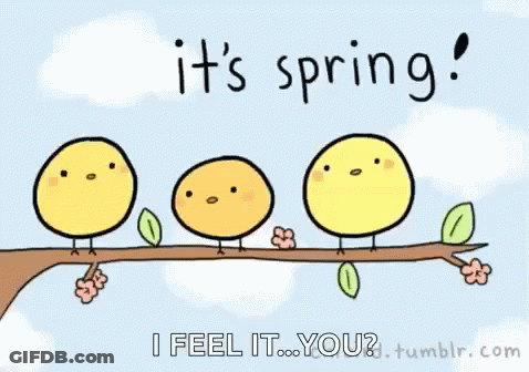 A Cartoon Of Birds On A Tree Branch With The Words It 'S Spring I Feel It You GIF