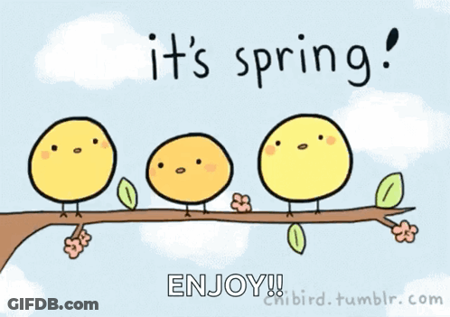 A Cartoon Of Birds Sitting On A Branch With The Words It 'S Spring Enjoy GIF