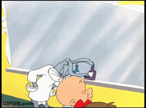 A Cartoon Of Bugs Bunny And Elmer Fudd Looking At Each Other In Front Of A Mirror GIF