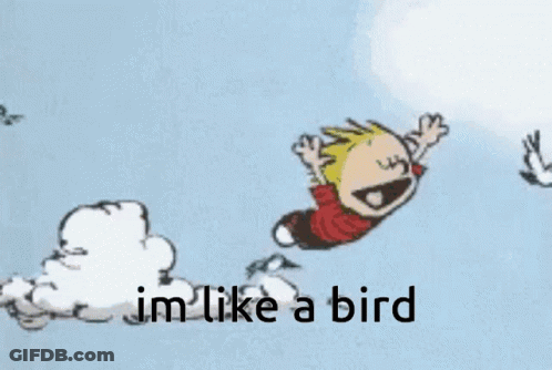 A Cartoon Of Calvin And Hobbes Flying Through The Air GIF