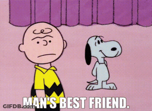 A Cartoon Of Charlie Brown And Snoopy With The Words Man 'S Best Friend Below Them GIF
