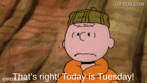 A Cartoon Of Charlie Brown Says " That 'S Right Today Is Tuesday " GIF