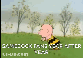 A Cartoon Of Charlie Brown Standing In A Grassy Field . GIF