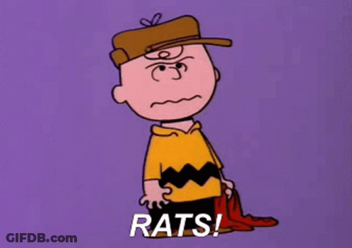 A Cartoon Of Charlie Brown With The Words Rats Written On The Bottom GIF