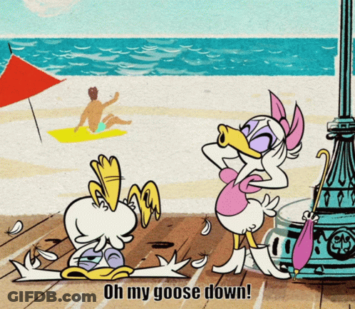 A Cartoon Of Donald Duck And Daisy Duck Saying Oh My Goose Down On A Beach GIF