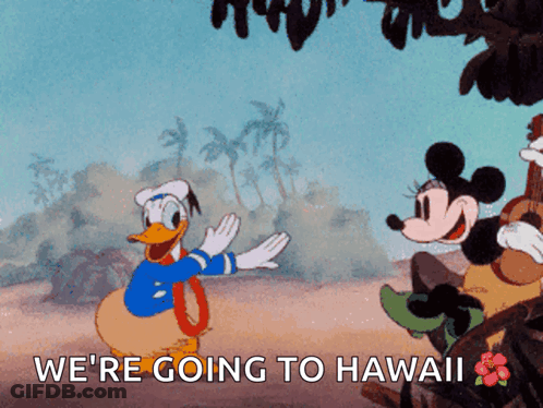 A Cartoon Of Donald Duck And Minnie Mouse Says We 'Re Going To Hawaii GIF
