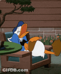 A Cartoon Of Donald Duck Laying On A Chair GIF