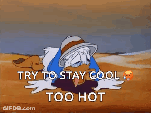 A Cartoon Of Donald Duck Laying On The Ground With The Words " Try To Stay Cool Too Hot " GIF