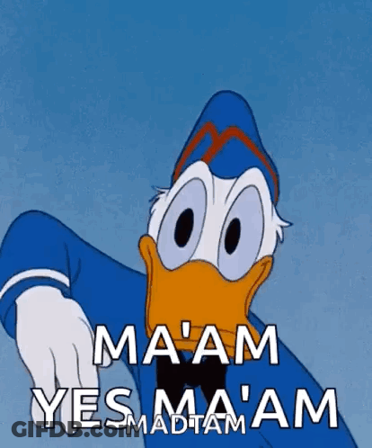 A Cartoon Of Donald Duck Pointing At The Camera And Saying Ma 'Am Yes Ma 'Am . GIF