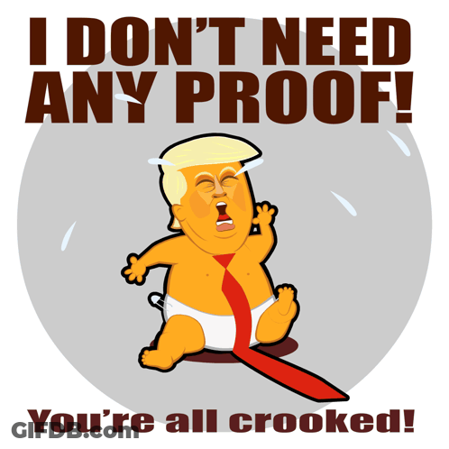 A Cartoon Of Donald Trump With The Words " I Don 'T Need Any Proof You 'Re All Crooked " Below Him GIF