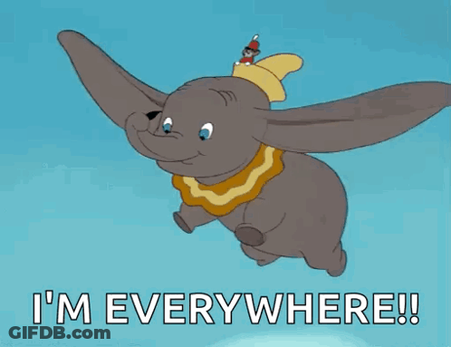 A Cartoon Of Dumbo Flying With The Words I 'M Everywhere GIF
