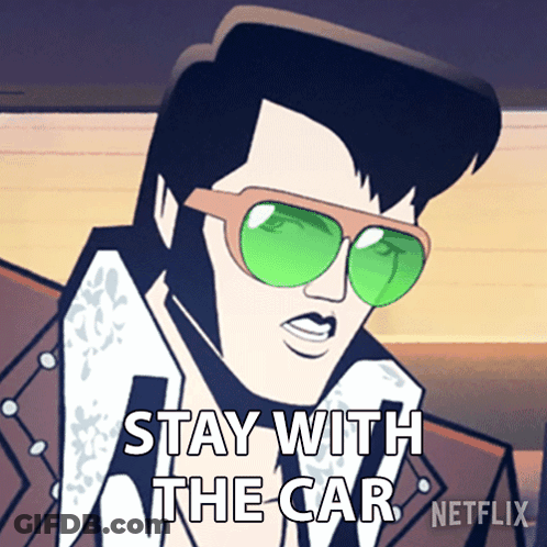Elvis Presley With Green Sunglasses Saying Stay With The Car Netflix GIF