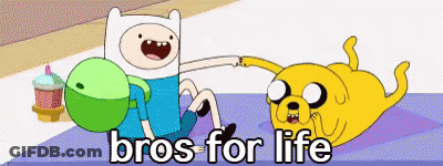 Finn And Jake Cartoon With Bros For Life Text GIF
