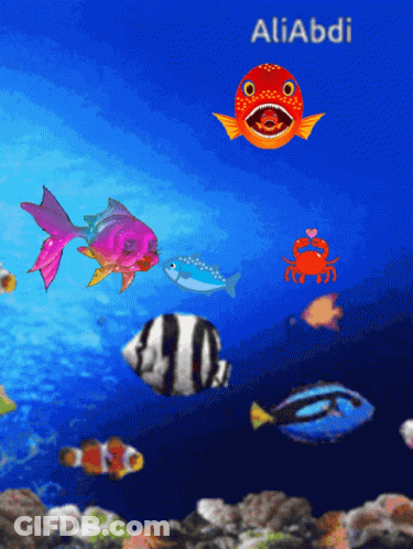 A Cartoon Of Fish And A Crab With The Name Aliabdi On The Bottom GIF