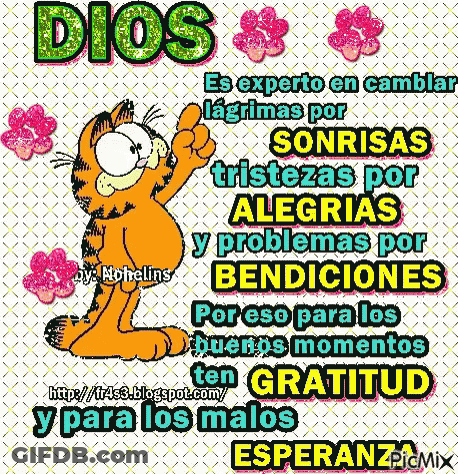 A Cartoon Of Garfield Giving A Thumbs Up With A Message In Spanish GIF
