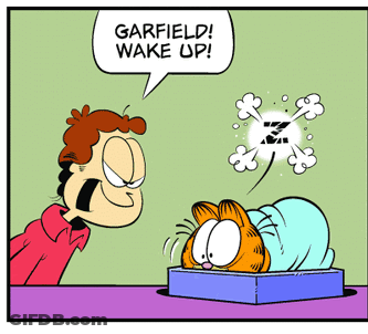 A Cartoon Of Garfield Saying Wake Up To Garfield GIF