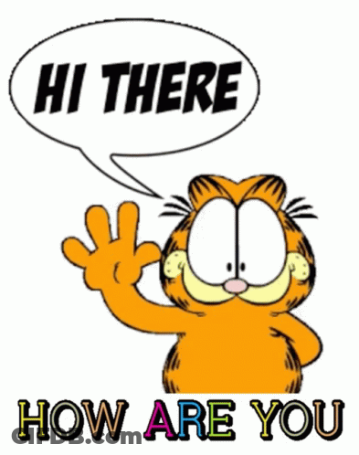 A Cartoon Of Garfield Says Hi There How Are You GIF
