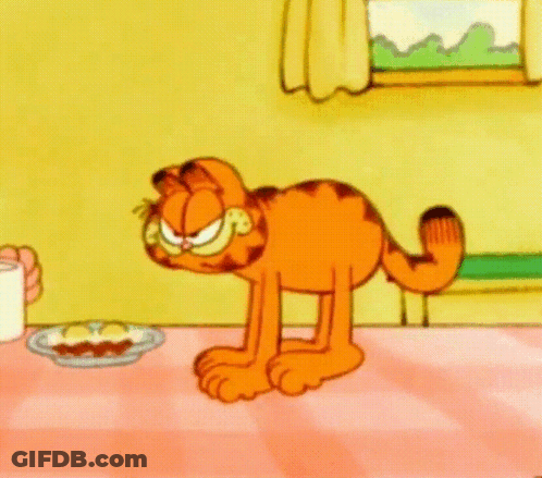 A Cartoon Of Garfield Standing On His Hind Legs GIF