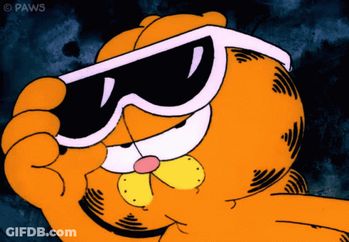 A Cartoon Of Garfield Wearing Sunglasses With The Watermark Paws GIF
