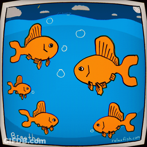 A Cartoon Of Goldfish Swimming In A Tank With The Words Breathe Below Them GIF