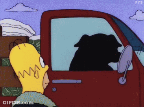 A Cartoon Of Homer Simpson And A Dog In A Truck With Fys Written On The Bottom GIF