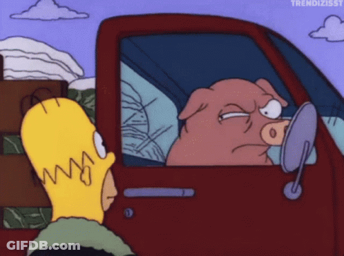 A Cartoon Of Homer Simpson And A Pig In A Car GIF