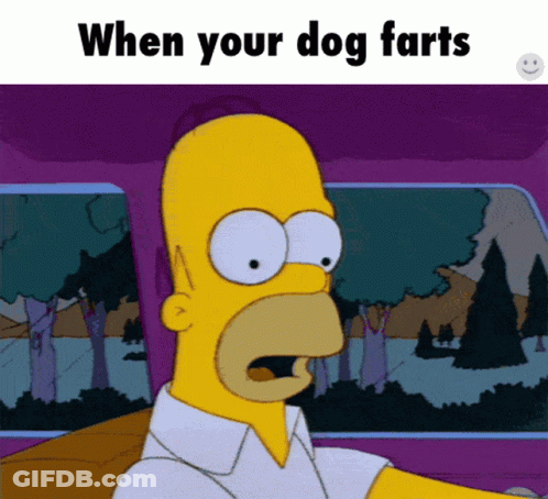 A Cartoon Of Homer Simpson Driving A Car With The Words When Your Dog Farts Above Him GIF