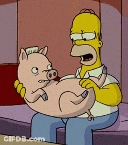 A Cartoon Of Homer Simpson Holding A Pig With A Brush On Its Head GIF