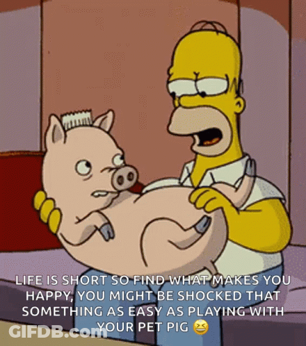 A Cartoon Of Homer Simpson Holding A Pig With A Caption That Says Life Is Short So Find What Makes You Happy GIF