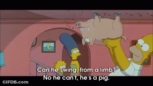 A Cartoon Of Homer Simpson Holding A Pig With The Words " Can He Swing From A Limb " Below It GIF