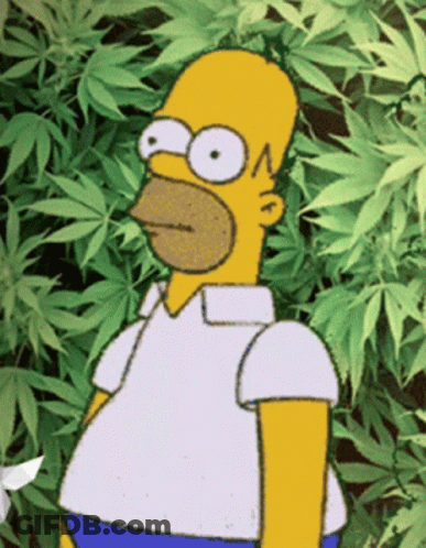 A Cartoon Of Homer Simpson Standing In Front Of Some Marijuana Leaves GIF