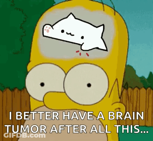A Cartoon Of Homer Simpson With A White Cat In His Brain And The Words " I Better Have A Brain Tumor After All This " GIF