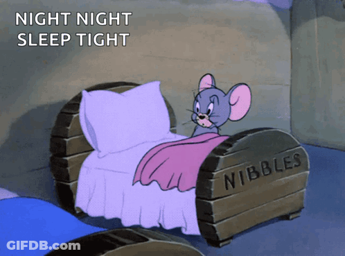 A Cartoon Of Jerry In A Bed That Says Nibbles On It GIF