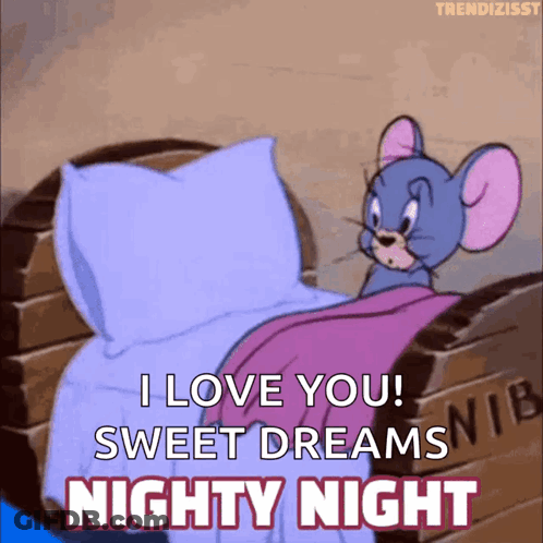 A Cartoon Of Jerry Saying I Love You Sweet Dreams Nightly Night GIF