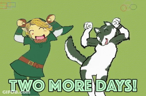 A Cartoon Of Link And A Cat With The Words Two More Days Written Below Them GIF