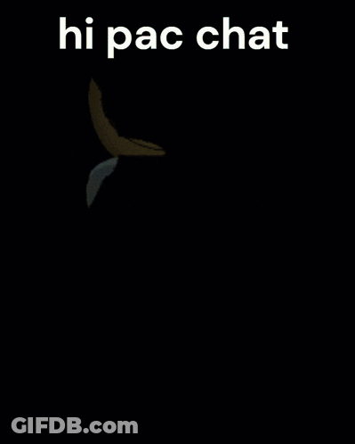 A Cartoon Of Pac Man Says Hi Pac Chat On The Bottom GIF