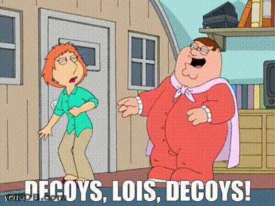 A Cartoon Of Peter Griffin And Lois Griffin With The Words Decoys Lois Decoys GIF
