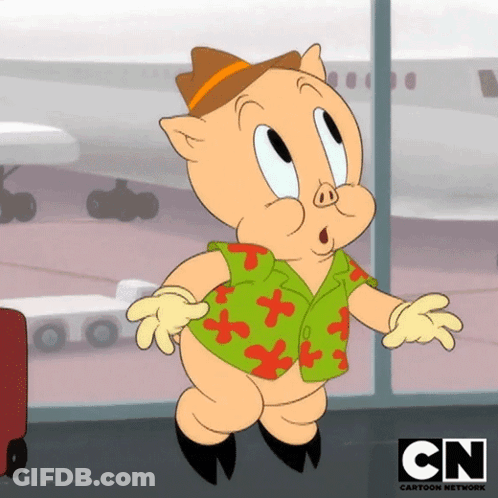 A Cartoon Of Porky Pig From Cn Cartoon Network GIF