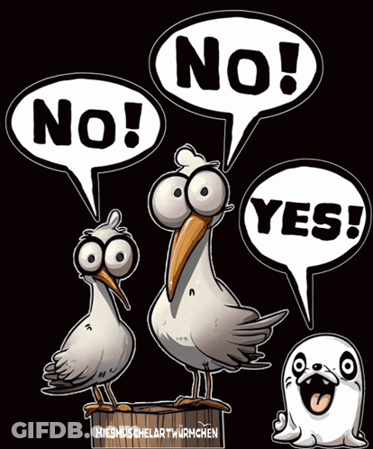 A Cartoon Of Seagulls Saying No Yes And No GIF