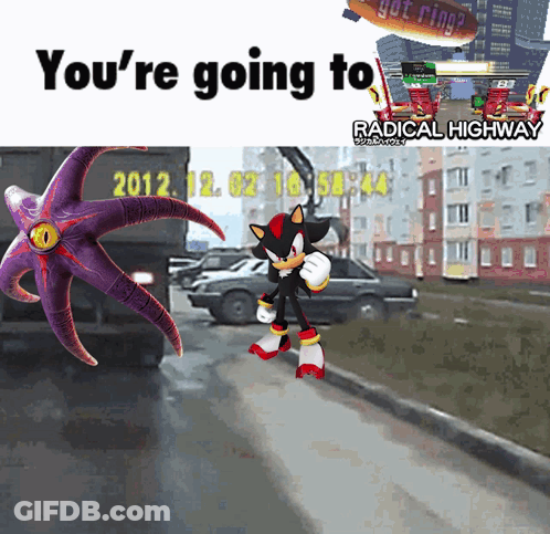 A Cartoon Of Shadow The Hedgehog And An Octopus With The Words You 'Re Going To Radical Highway GIF