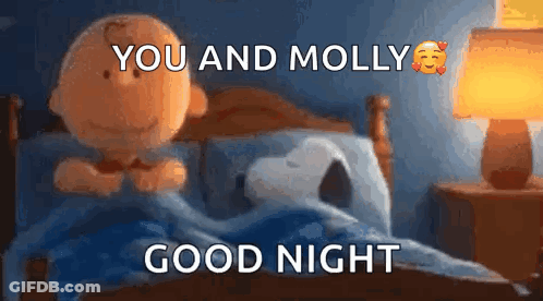 A Cartoon Of Snoopy And Charlie Brown Sleeping In A Bed With The Words You And Molly Good Night GIF