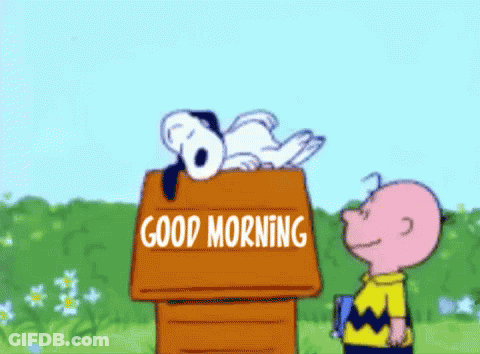 A Cartoon Of Snoopy And Charlie Brown Standing Next To A Box That Says Good Morning GIF