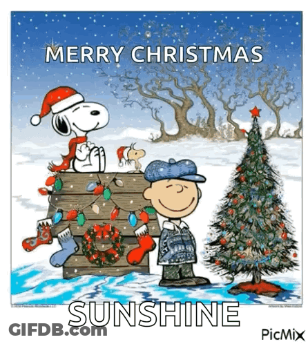 A Cartoon Of Snoopy And Charlie Brown Standing Next To A Christmas Tree . GIF