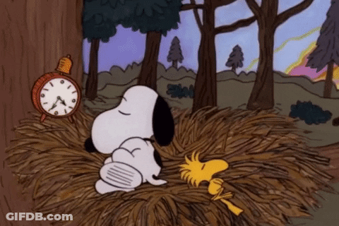 A Cartoon Of Snoopy And Woodstock Laying In A Nest With A Clock In The Background GIF