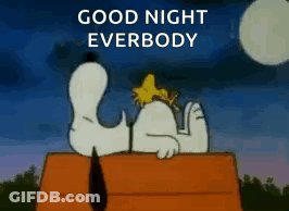 A Cartoon Of Snoopy And Woodstock Laying On Top Of A Doghouse With The Words `` Good Night Everbody '' . GIF